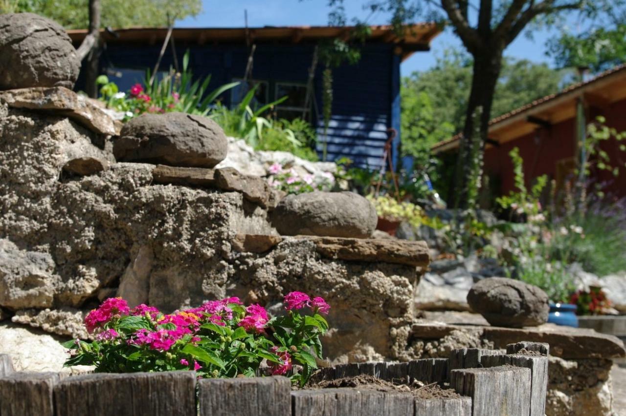 Bed and Breakfast Mas De Font Chaude Clermont-lʼHérault Zewnętrze zdjęcie